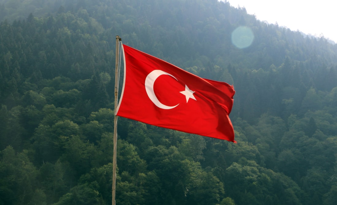 Turkey Great For SMBs | Successful ERP Implementation Examples